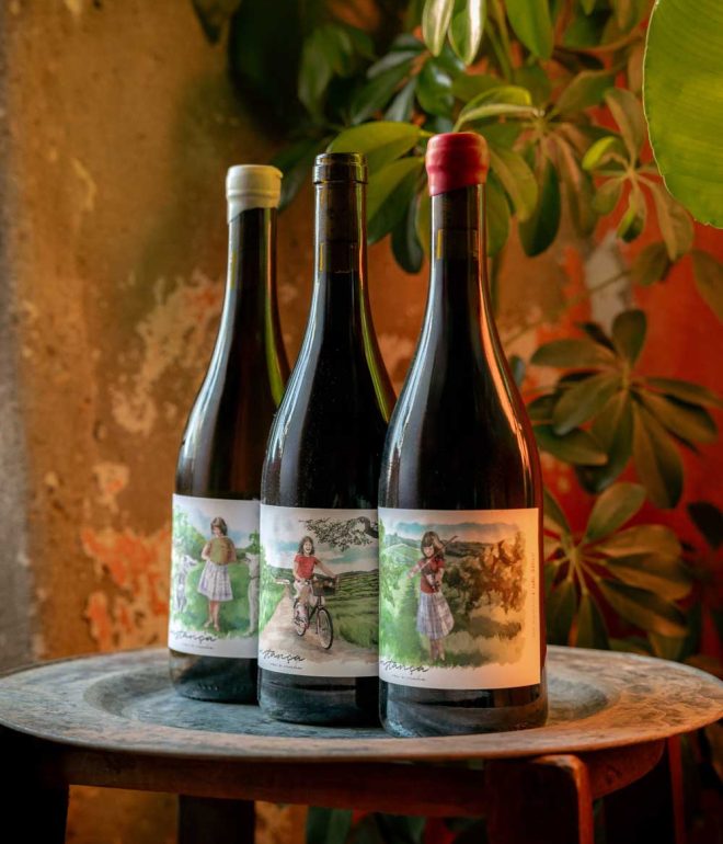 wine bottles on table Algarve Portugal