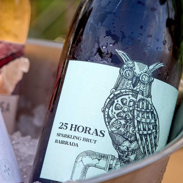 Closeup on wine bottle in galvanise bucket in ice Algarve Portugal